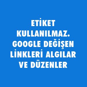 SEO Testi - SEO Bilginizi Ölçün !