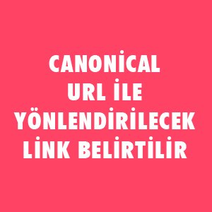 SEO Testi - SEO Bilginizi Ölçün !