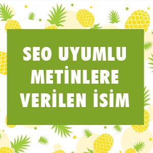 SEO Testi - SEO Bilginizi Ölçün !