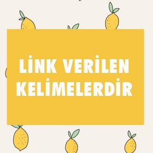 SEO Testi - SEO Bilginizi Ölçün !