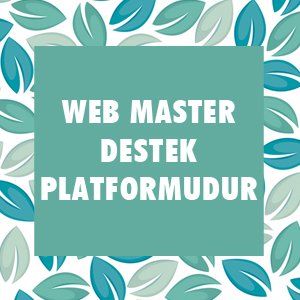 SEO Testi - SEO Bilginizi Ölçün !