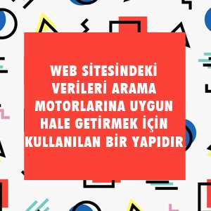 SEO Testi - SEO Bilginizi Ölçün !