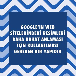 SEO Testi - SEO Bilginizi Ölçün !