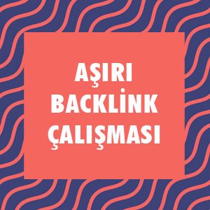 SEO Testi - SEO Bilginizi Ölçün !