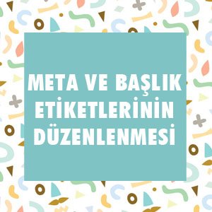 SEO Testi - SEO Bilginizi Ölçün !