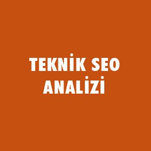 SEO Testi - SEO Bilginizi Ölçün !