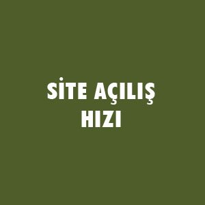 SEO Testi - SEO Bilginizi Ölçün !