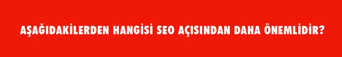 SEO Testi - SEO Bilginizi Ölçün !