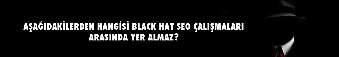 SEO Testi - SEO Bilginizi Ölçün !