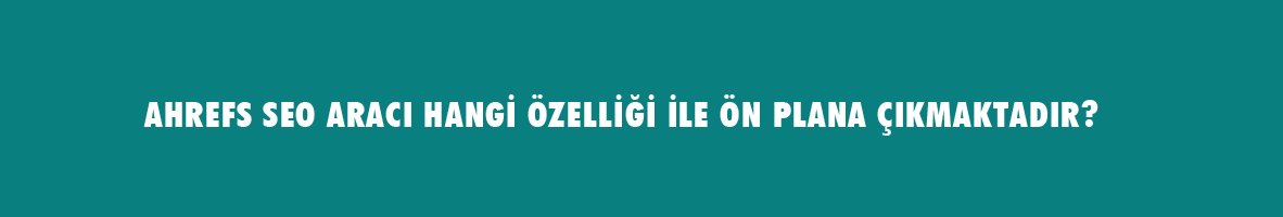 SEO Testi - SEO Bilginizi Ölçün !