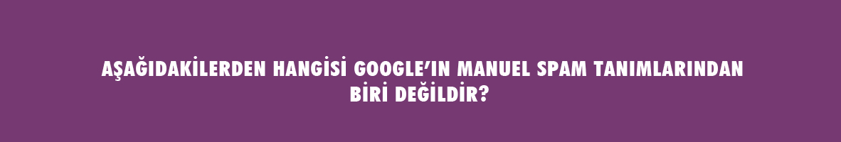 SEO Testi - SEO Bilginizi Ölçün !