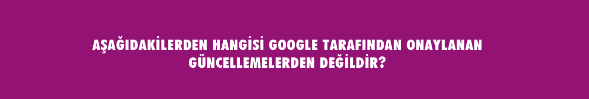 SEO Testi - SEO Bilginizi Ölçün !