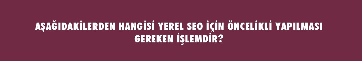 SEO Testi - SEO Bilginizi Ölçün !