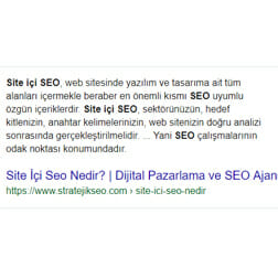 SEO Testi 2 - SEO Bilginizi Ölçün !