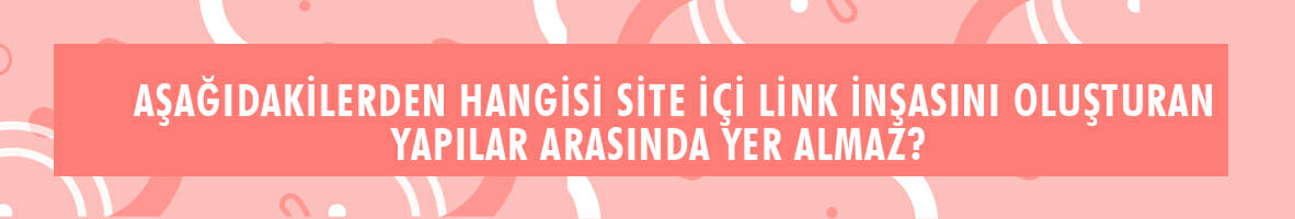 SEO Testi 2 - SEO Bilginizi Ölçün !