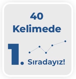 Sinada Home SEO Başarı Hikayesi