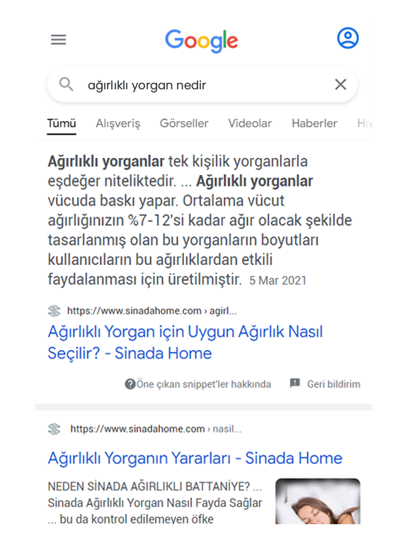 Sinada Home SEO Başarı Hikayesi